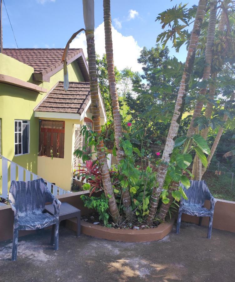 Gables Vacation Rentals With Private Gated Parking Onsite Knockpatrick Exterior foto